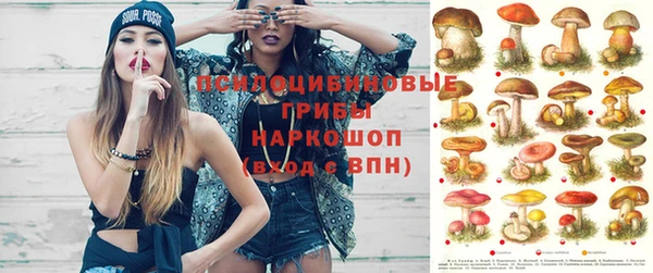 mdpv Абдулино