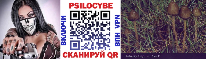 Галлюциногенные грибы Cubensis  как найти закладки  Вытегра 